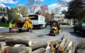 Corralitos, CA Tree Services Company