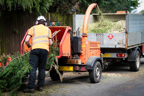 Best Utility Line Clearance  in Corralitos, CA